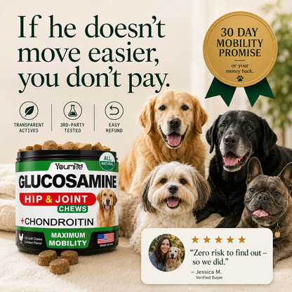 Dog chews
