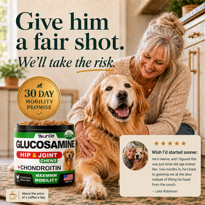 Dog chews