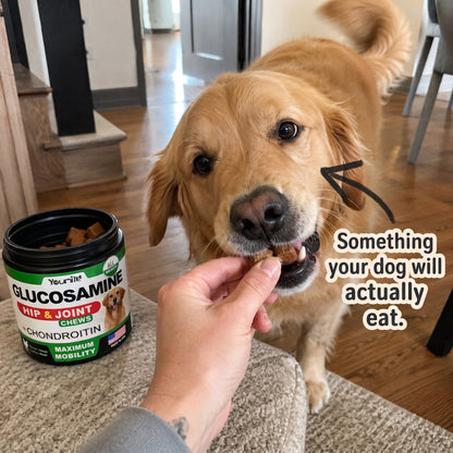 Dog chews