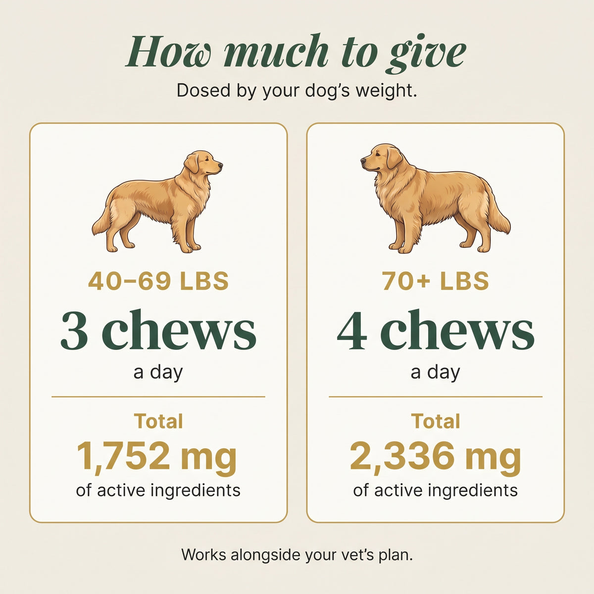 Dog chews