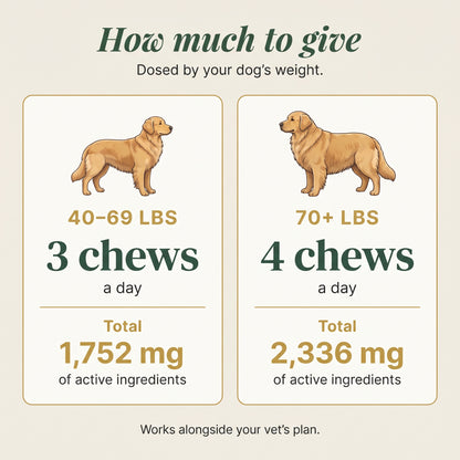 Dog chews
